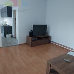 Rent 2 bedroom apartment of 65 m² in Píšťany