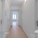 Rent 2 bedroom apartment of 55 m² in Plzeň