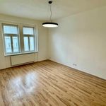 Rent 4 bedroom apartment in Praha 4