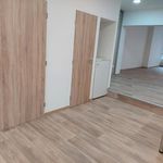 Pronajměte si 1 ložnic/e byt o rozloze 69 m² v Liberec