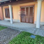 Rent 1 bedroom house of 35 m² in Marcignago