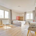 Rent 5 bedroom apartment of 230 m² in Zagreb