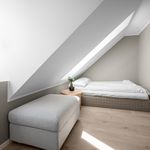 Rent 1 bedroom apartment of 40 m² in Bergen