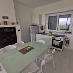 Rent 1 bedroom apartment in Montauro