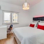 Rent 1 bedroom apartment of 55 m² in Reboleira