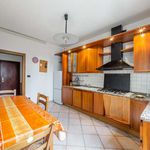 Rent 2 bedroom apartment of 106 m² in Bologna