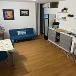 Affitto 1 camera appartamento in Cagliari