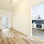 Rent 3 bedroom apartment of 97 m² in Plzeň