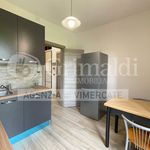 Rent 3 bedroom apartment of 95 m² in Vimercate