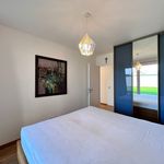 Rent 3 bedroom apartment of 70 m² in Konice