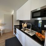 Rent 2 bedroom apartment of 45 m² in Porto