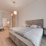 Rent 1 bedroom apartment of 41 m² in Prague