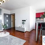 Pronajměte si 1 ložnic/e byt o rozloze 34 m² v Středočeský