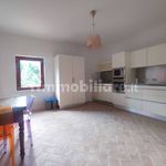 Rent 5 bedroom apartment of 150 m² in Castelfiorentino