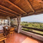 Rent 5 bedroom house of 300 m² in Olbia