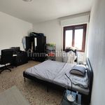 Affitto 3 camera appartamento di 70 m² in Pavia