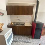 Rent 2 bedroom apartment of 40 m² in Villar Perosa