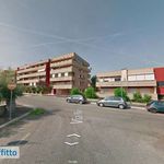 Affitto 3 camera appartamento di 55 m² in Roma