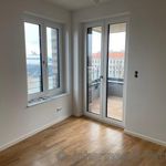 Rent 3 bedroom apartment of 78 m² in Dresden