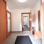Rent 3 bedroom apartment of 56 m² in Plzeň