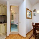 Rent 1 bedroom apartment of 36 m² in Roma