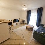 Rent 1 bedroom apartment of 46 m² in Saint