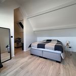 Rent 3 bedroom house in Wetteren
