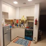 Rent 1 bedroom apartment of 30 m² in Dubai