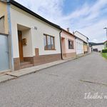 Rent 1 bedroom house of 122 m² in Brno