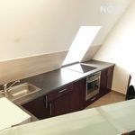 Rent 1 bedroom apartment in Liberec