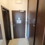 Rent 1 bedroom apartment of 30 m² in Brno