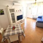 Rent 2 bedroom apartment of 80 m² in Torrevieja