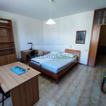 Affitto 5 camera appartamento di 80 m² in Castel Frentano