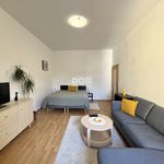 Rent 1 bedroom apartment of 55 m² in Číhošť