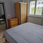 Rent 1 bedroom apartment in Vsetín