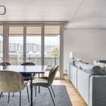 Geerenstrasse, Zurich - Amsterdam Apartments for Rent
