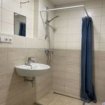 Rent 1 bedroom apartment in Rychnov u Jablonce nad Nisou