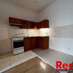 Rent 2 bedroom apartment of 50 m² in Brno