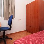 Alquilar 11 dormitorio apartamento en Granada