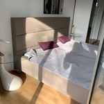 Rent 1 bedroom apartment of 65 m² in München