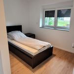 Rent 3 bedroom apartment of 75 m² in Aldenhoven