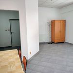 Rent 1 bedroom apartment in Tábor