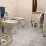 Rent 3 bedroom apartment of 90 m² in Novara