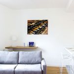 Rent 1 bedroom apartment of 47 m² in Bordeaux