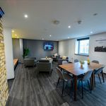 Rent 1 bedroom student apartment of 36 m² in Nottingham