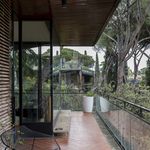 Affitto 1 camera casa di 300 m² in Roma
