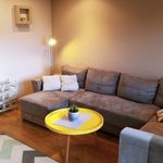 Rent 3 bedroom apartment of 62 m² in Pabianice