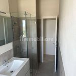 Rent 4 bedroom apartment of 70 m² in Piacenza
