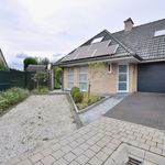Rent 3 bedroom house of 410 m² in Avelgem