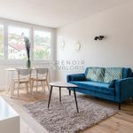 Rent 3 bedroom apartment of 51 m² in Nancy